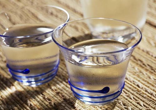 真假酒的解毒迷思 科學解析與醫(yī)生的忠告